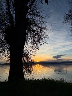 Meet your Posher, Mataya